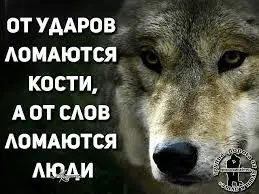 download.webp