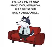 95D94C7B-E641-4984-AE43-BEA405EB2106.webp