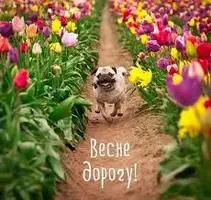 Без названия (2).webp