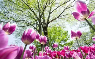 278745.webp