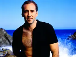 231-wallpaper-5.webp