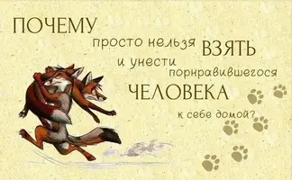 tYnzhgTfM0U (1).webp
