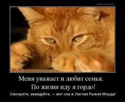 mg3l714muklsk4j9.webp
