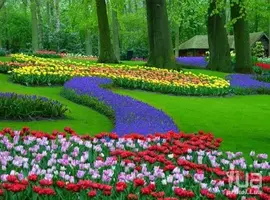 799686.webp