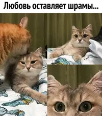 dbnw3TFEZQQ.webp
