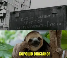 O0LxKEksoyM.webp