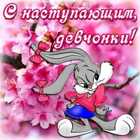 77a837bffb1d73a4974461aaa8e19725.webp