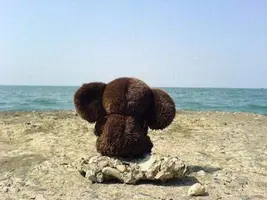 BEE569C8-5E73-4805-8D90-6CEF1270F85D.webp