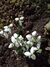 IMG-20190307-WA0017.webp