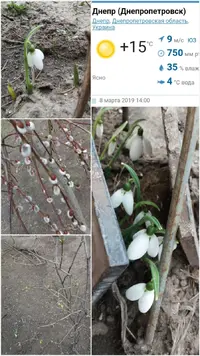 20190308_143050.webp