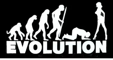 evolution.webp