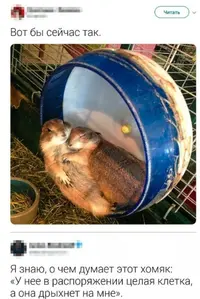 xDBa3VHVVw0.webp
