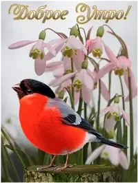 IMG-20190306-WA0000.webp