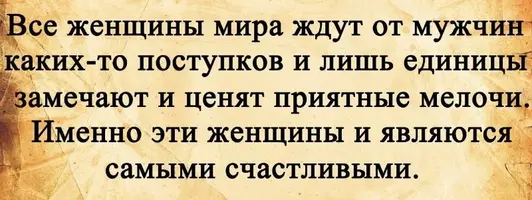 2289526907~01-800x301.webp