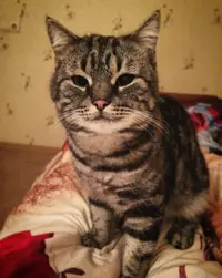 EnRQkRqXj74.webp