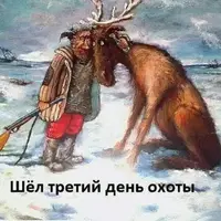 50602370_293755951333296_8317597643542888448_n.webp