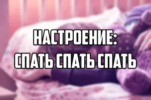 16481789.webp