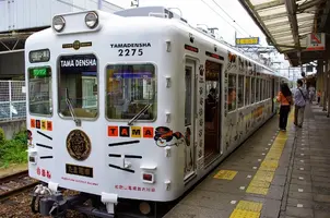 tama03.webp