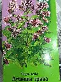 A36EDB8B-D463-44DF-A3DB-440AFE261732.webp