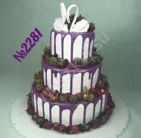 2281.webp