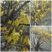 20190405_201150.webp