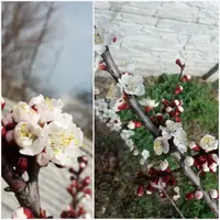 20190407_185536.webp