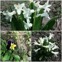 20190407_185620.webp