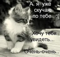 kartinki-ya-skuchayu-po-tebe-0041.webp
