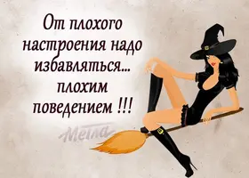 8474B679-D91C-4BE5-ADF9-46654682CA8D.webp