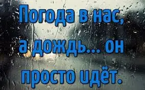 images (6).webp