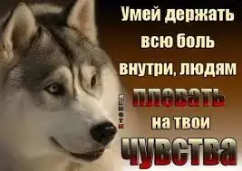 images.webp