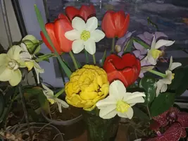 20190416_184619-3096x2322.webp