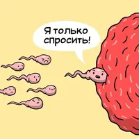 A2D5FDFA-7111-4C5D-A11A-56CE4280FBA7.webp