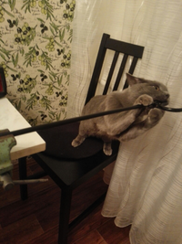 IMG_20170612_003057.webp
