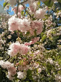 Screenshot_20190426-143457-min.webp