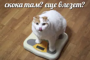 vGgOFDCNgWw.webp