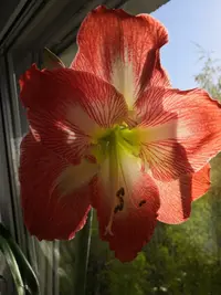 IMG_20190430_083756.webp