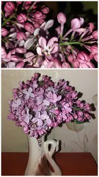 20190430_214357.webp