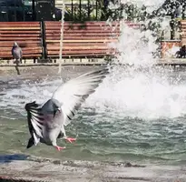 D26373F6-991F-4F54-BBAB-0D096055DB24.webp