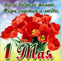 IMG-20190501-WA0001.webp