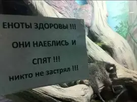 56605685.webp