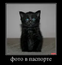 757046_foto-v-pasporte_demotivators_to.webp