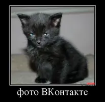 81954_foto-vkontakte_demotivators_to.webp
