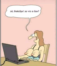 DA6482D4-C32B-4B0D-B7FC-0A97B6F1ACC8.webp