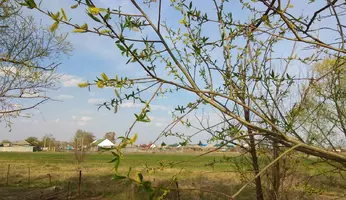 PhotoPictureResizer_190509_171424562_crop_4160x2407-1600x926.webp