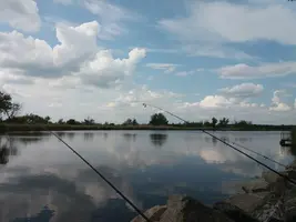20190512_151804-3096x2322.webp