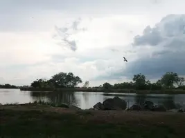 20190512_154956-3096x2322.webp