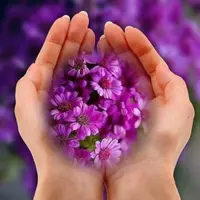 image.webp
