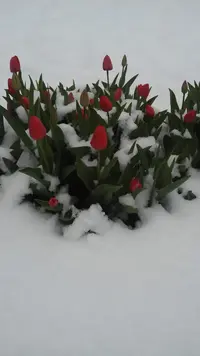 IMG-20190514-WA0001.webp
