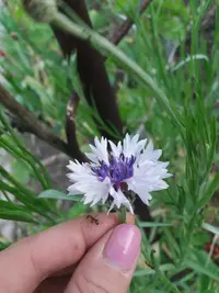 20190514_195140-2322x3096.webp